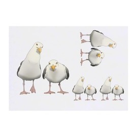4 x 'Grumpy Seagulls' Temporary Tattoos - Water Resistant, Skin-Safe, Non-Toxic Transfers, Mixed Sizes (TO00085118)