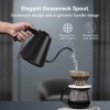 Flyeve Gooseneck Electric Kettle 1200W Electric Kettle +1°F Temperature Control