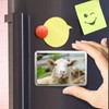 Funny Sheep Classic Fridge Magnet - Cheeky Lamb Farm Animal