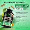Mullein Lung Detox - Mullein Leaf 10:1 Extract - Marshmallow