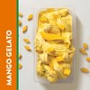 PACIFIC FRUIT - Real Mango puree for cocktails - Mango