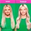 Matrix Kit Miracle Creator 200ml Shampoo Food For Soft