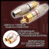 TIGRE BLANC RCA Plug Terminal Gold Plated Pin Plug Pin