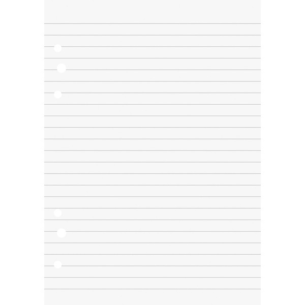 Baier Schneider & Insert Notepad for Use in Ringbinders, A6