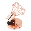 Swing Arm Wall Lamp 350 Degree Rotary Cage Shade Iron