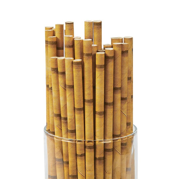 Biodegrabale Bamboo Print Paper Straws - Multi Packs (96)