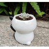 Cute Cartoon Animal Shaped Succulent Cactus Plant Pots-Plants Not Included