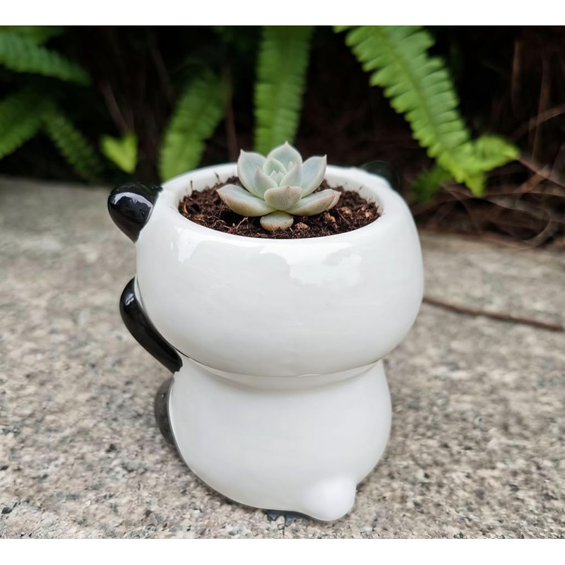 Cute Cartoon Animal Shaped Succulent Cactus Plant Pots-Plants Not Included