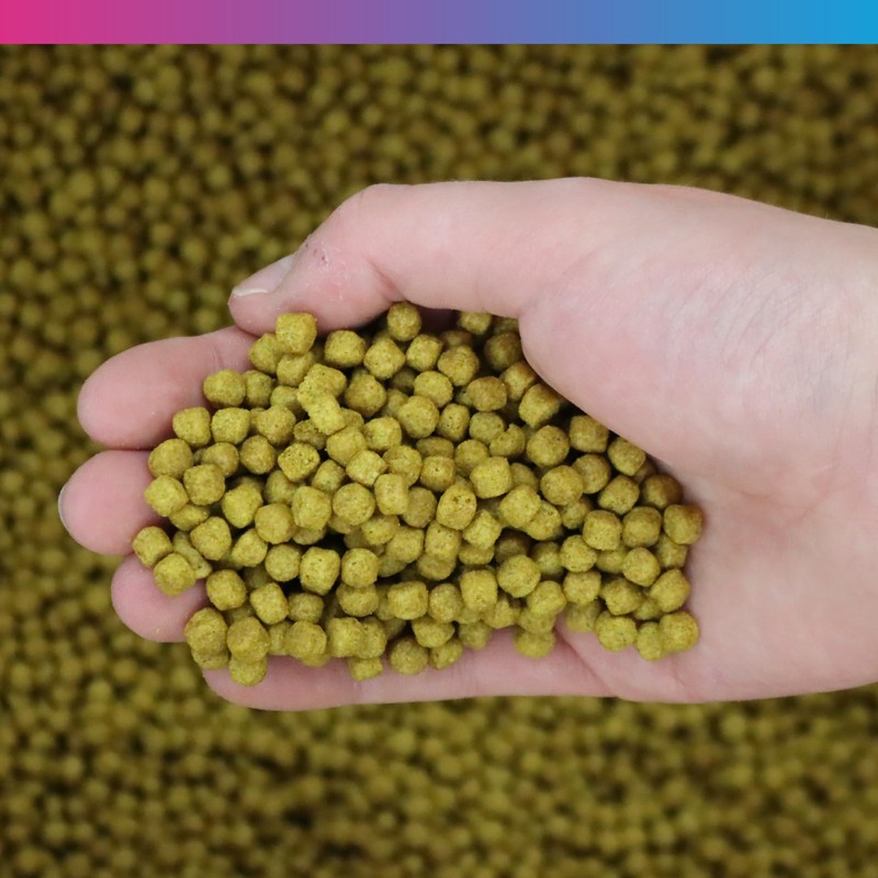 NT Labs Medikoi Health, Complete Feed For All Pond Fish,