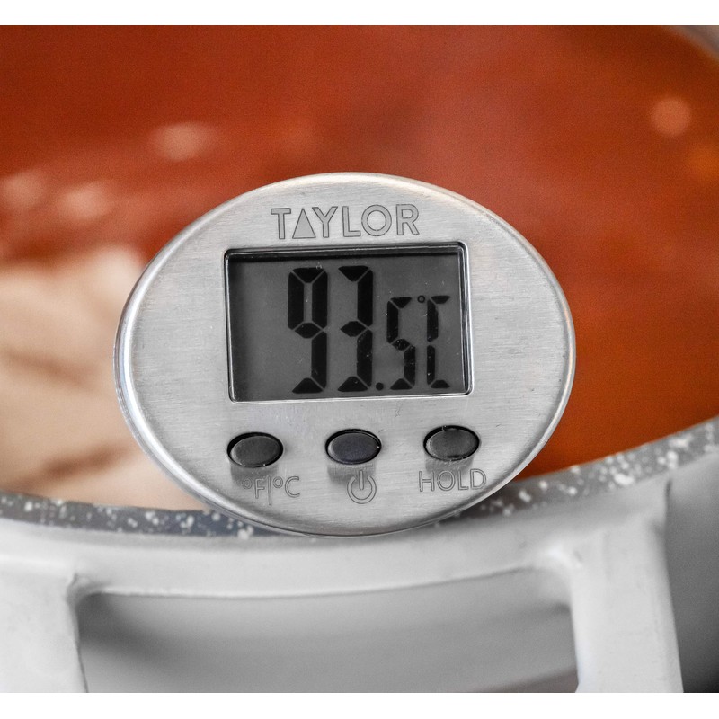 Taylor Digital Kitchen Thermometer with Protective Case for Meat, Fish