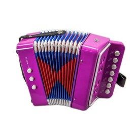 Sky Accordion Hot Pink Pattern 7 Button 2 Bass Music Instrument Easy to Play *GREAT GIFT*