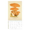 Mushroom Botanical Prints Mini Wall Calendar 2026 7" x 7"