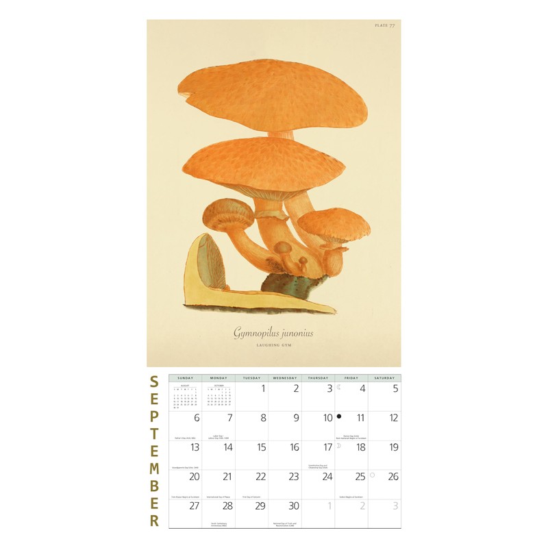 Mushroom Botanical Prints Mini Wall Calendar 2026 7" x 7"