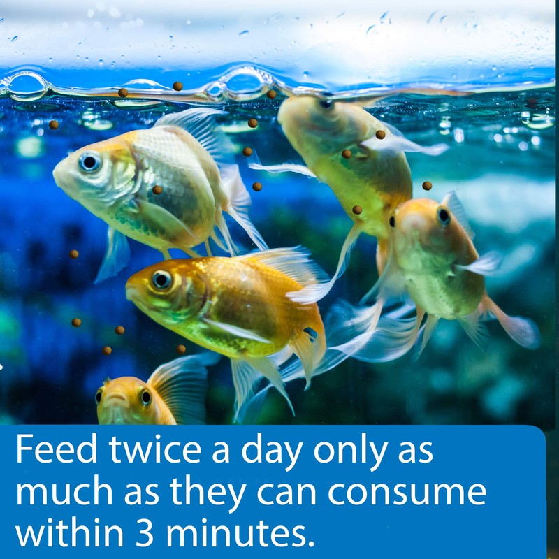 API Tropical PELLETS Sinking Pellets Fish Food