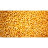 2 LB Pound Reid's Yellow Dent Field Corn Open Pollinated