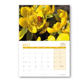 2025 A4 Flowers Calendar. One Month to View. A3 when open. Wall Calendar by Absolutely Yours.