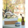 Maestro Storm Cloud Barometer Gift
