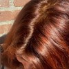 Predyeing for White Hair - Herbal Dye 100% Natural, 100%