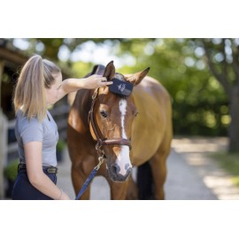 LeMieux Heritage Tangle Tidy Horse Manes & Tails Grooming Brush in Black with Flexible Toggles and Ergonomic Handle - One Size