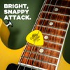 Tortex® Standard Pick Variety Pack - 12 Pack