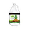 Fresh LAVA Multi-Use Deodorizer and Freshener, 1 Gallon, Fresh Clean