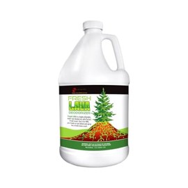 Fresh LAVA Multi-Use Deodorizer and Freshener, 1 Gallon, Fresh Clean Scent