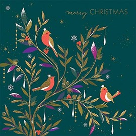Christmas Card Box. Three Robins by Sara Miller. 8 Foiled and Embossed Christmas Cards. Size 16 x 16 cm Standard Postage