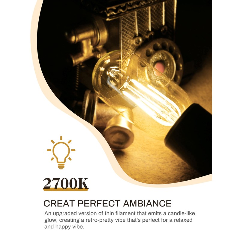 4 Pack LED Edison Bulbs, 4W Edison Light Bulbs, Antique
