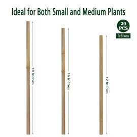 Plant Stakes,16 Inches Natural Garden Bamboo Sticks,BOVITRO 20Pcs Plant Support Stakes for Tomatoes,Beans,Vegetable and Potted Plants