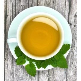 Undisclosed Catnip Tea by Palm Beach Herbals  | 30ct, Caffeine-Free