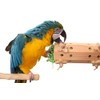 Activity Forager - Large Parrot Foraging Toy Bolt On