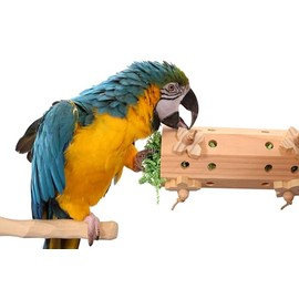 Activity Forager - Large Parrot Foraging Toy Bolt On
