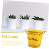CAXUSD Flower Bucket Handle Metal Planter Rustic Artistic Flowerpot Collapsible