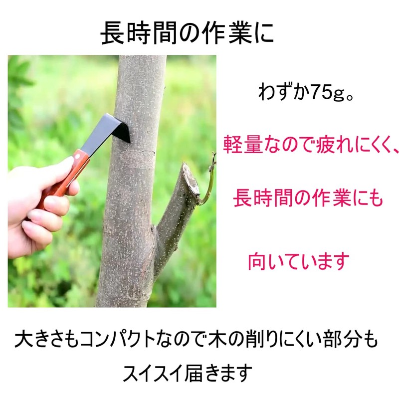 Persimmon Pear Peeling, L-Shaped