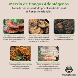 InmunoFunga - Extracto de 5 Hongos | Tintura de Doble Extracción con Reishi, Chaga y Cola de Pavo | Complemento Nutricional para el Estilo de Vida Act