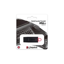 Kingston USB DTExodia 256GB USB 3.2 Gen 1 (DTX/256GB)