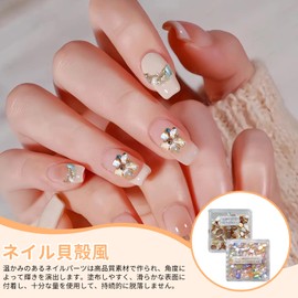 ZHEJIA Seashell Style Nail (Set of 2 Colors) Sea Shell Nail Parts, Shelf Rake, 3D Shell Parts, Nails, Resin Sealed, DIY Decoration Material