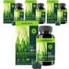 Nutrione Safe Barley Sprout Tablets, 30 tablets, 4 units / 뉴트리원 안심 새싹보리 정, 30정, 4개