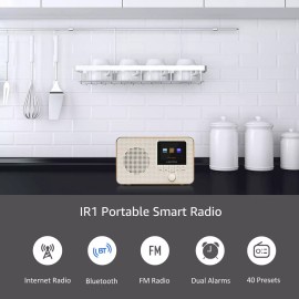 LEMEGA IR1 Portable WiFi Internet Radio, FM Digital Radio, Bluetooth, Dual Al...