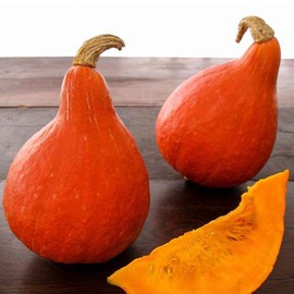 Organic Japanese Red Kuri Squash Seeds - 4 g ~30 Seeds - Organic, Heirloom, Open Pollinated, Non-GMO, Farm & Vegetable Gardening Seeds - AKA: Baby Red Hubbard - Winter Squash