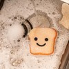 Kickerland Toast Scrub Sponge Set of 2