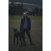 Knog Quokka Headlamp - Black, 80 Lumen LED, 4 Modes,
