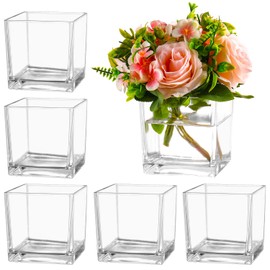MARTAGE Square Glass Vases Set of 6, Flower Vases for Centerpieces, Clear Vases for Flowers, Square Vases for Centerpieces, Small Vases for Wedding, Party, Home Office Decoration, 5" x 5" x 5"