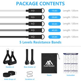 flintronic Resistance Bands Set, Sports Resistance Fitness Bands, 5 Different Resistance Levels with Door Anchor, Handles, Ankle Strap, Ideal for Strength Training, Pilates, Muscle Building (Black)