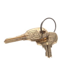 Hoshizaki 4A0460-01 Lock & Key