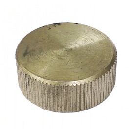 1" BSP Brass Blanking Cap for Drain bungs
