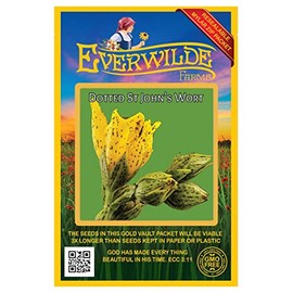 Everwilde Farms - 2000 Dotted St. John's Wort Native Wildflower Seeds - Gold Vault Seed Packet