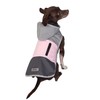 Eddie Bauer E24232XS Ravenna Colorblocked Dog Windbreaker Jacket in Extra