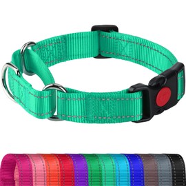 Joytale Martingale Collar for Dogs, Reflective Heavy Duty for Safety, Quick Release Buckle, Adjustable Nylon Collars for Large Dogs Walking Training, Teal,L