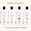 MAISON BERGER 3-in-1 Laundry Wash – Cleans, Softens, Fragrances -